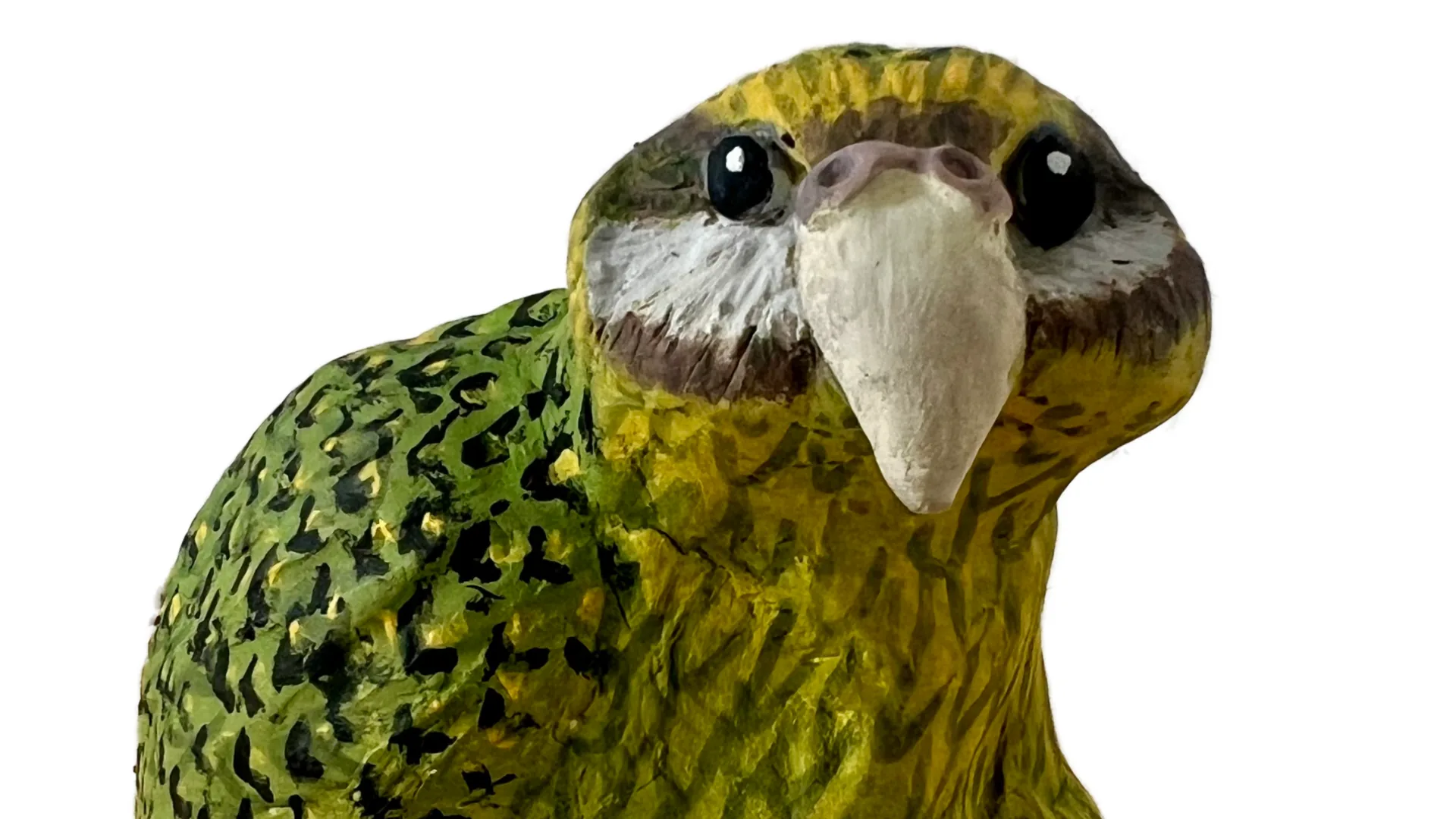 Kakapo